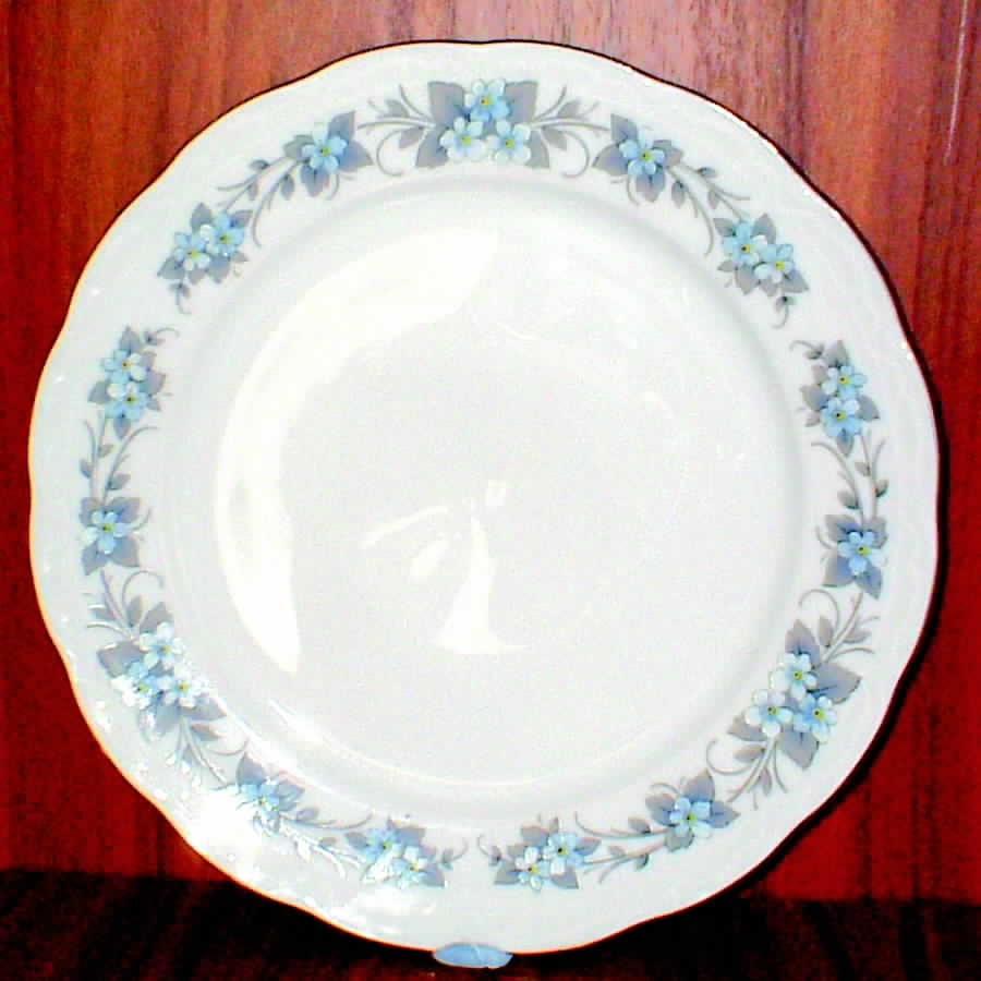 MIT61 Dinner Plate by Mitterteich-1