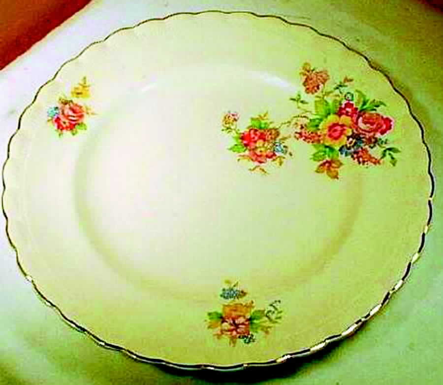 MEK44 Dinner Plate by J & G Meakin-1