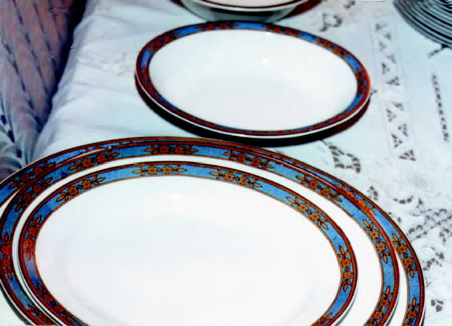 MEK45 Dinner Plate by J & G Meakin-1