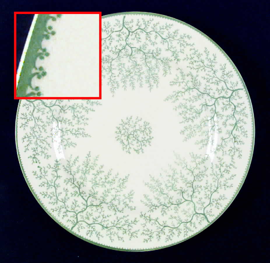 Fibre-Green Dinner Plate by Minton-1