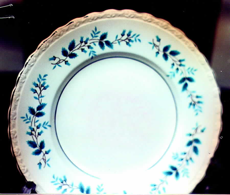 L559 Dinner Plate by Myott Staffordshire-1