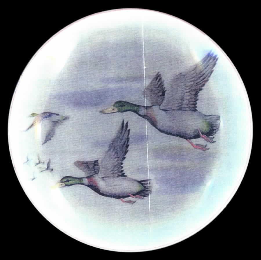Mallards Salad Plate by Seymour Mann-1