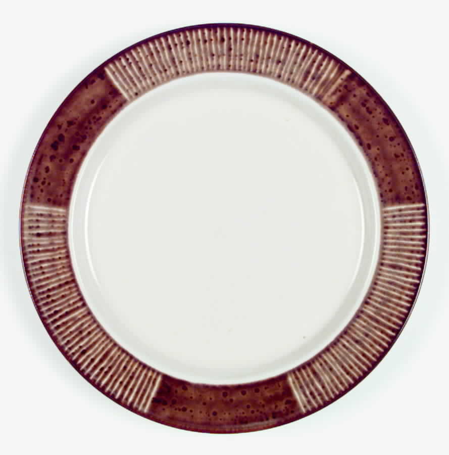 Desert Song Dinner Plate by Mikasa-1
