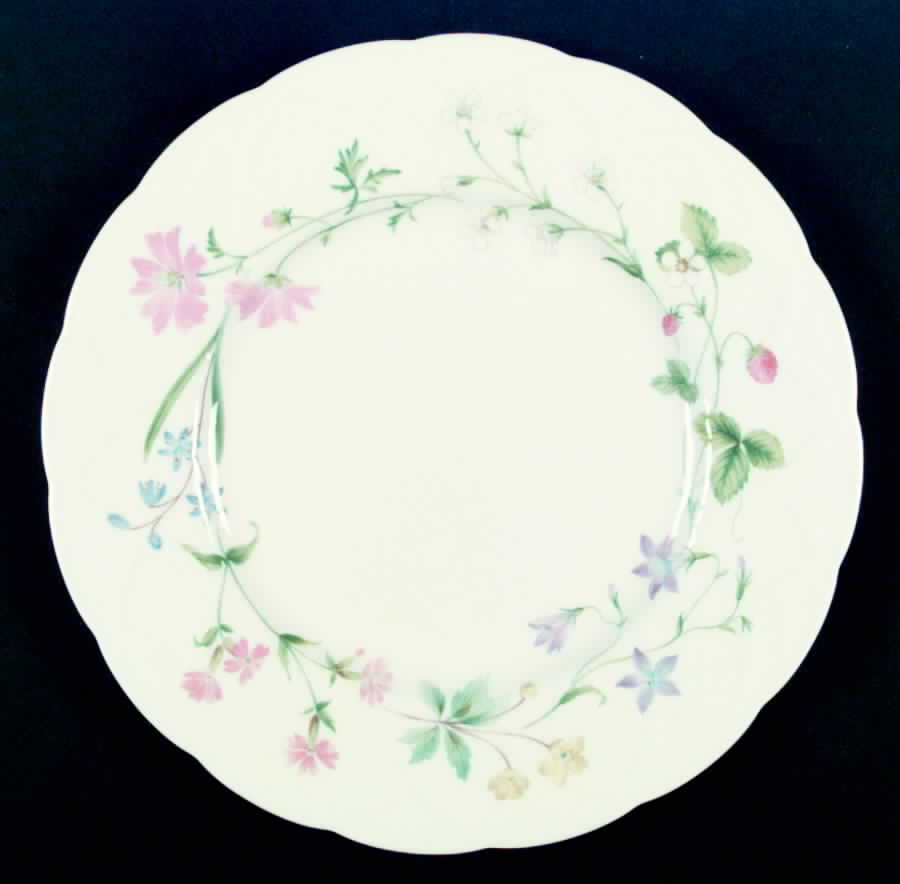 Meadow Song Dinner Plate by Mikasa-1