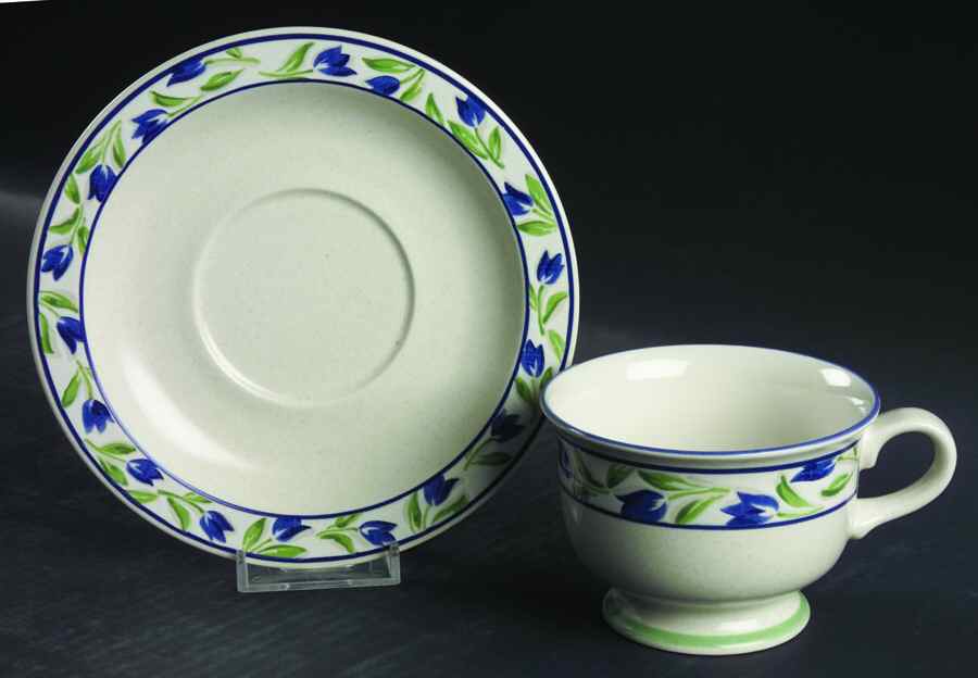 Spring Sonata Footed Cup & Saucer Set by Mikasa-1
