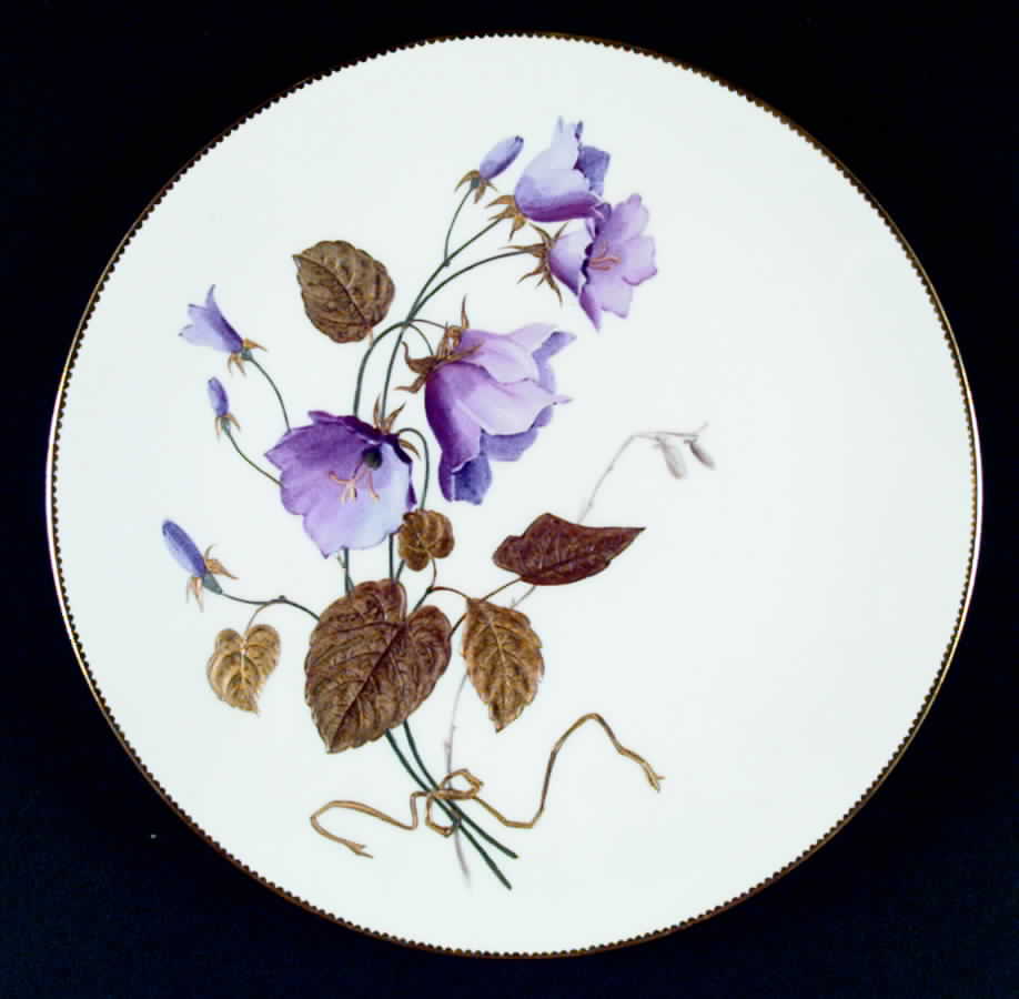 G5391 Dinner Plate by Minton-1