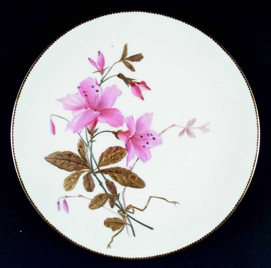 G5391 Dinner Plate by Minton-1