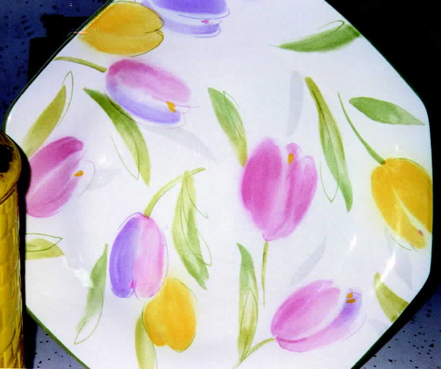 Harmony Dinner Plate by Mikasa-1