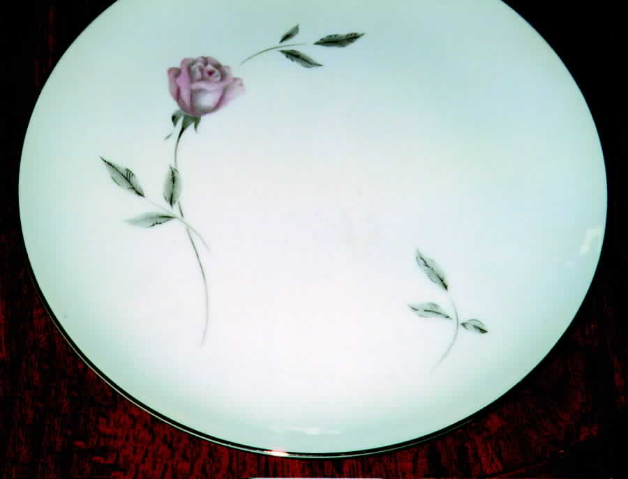 Inspiration Dinner Plate by Mayfield (Japan)-1
