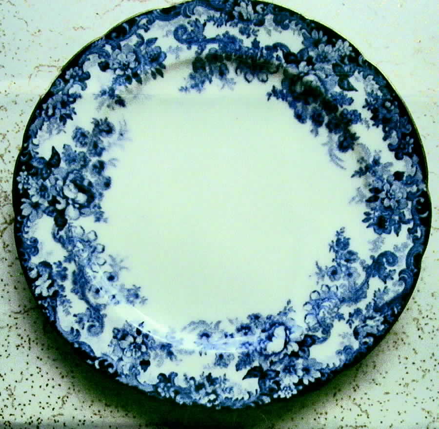M40 Dinner Plate by Minton-1