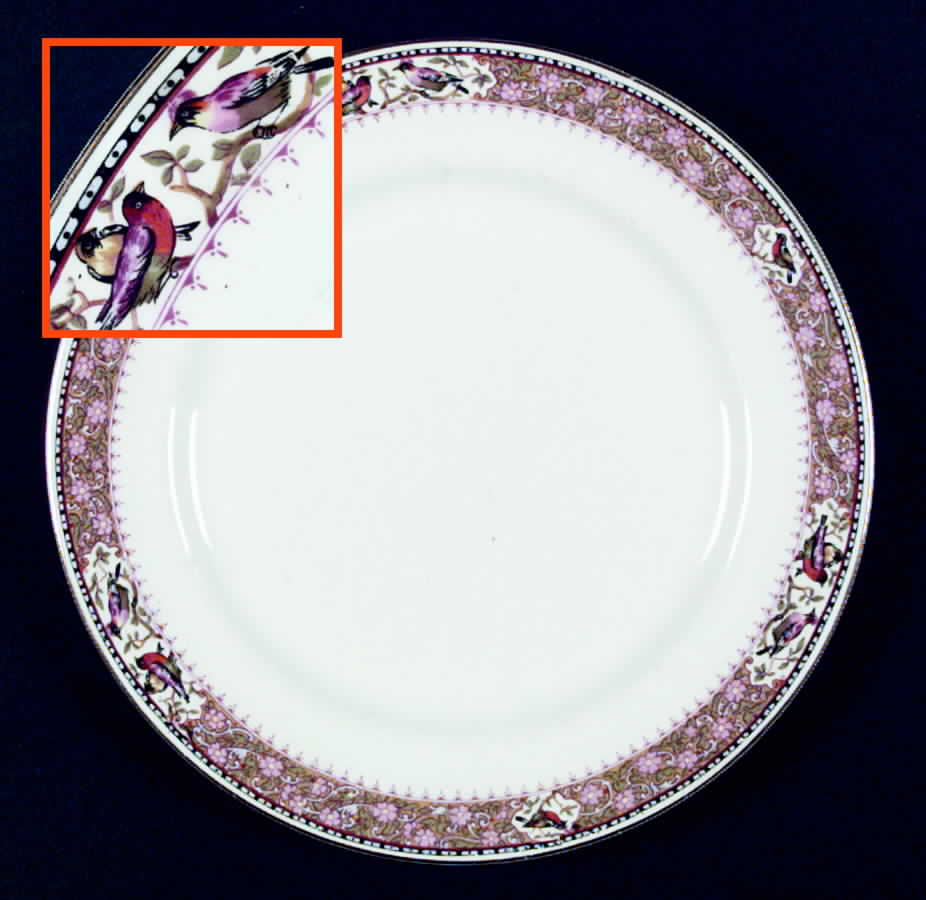 MAD55 Dinner Plate by John Maddock & Sons-1
