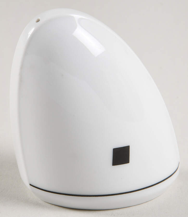 State House Salt Shaker by Mikasa-1
