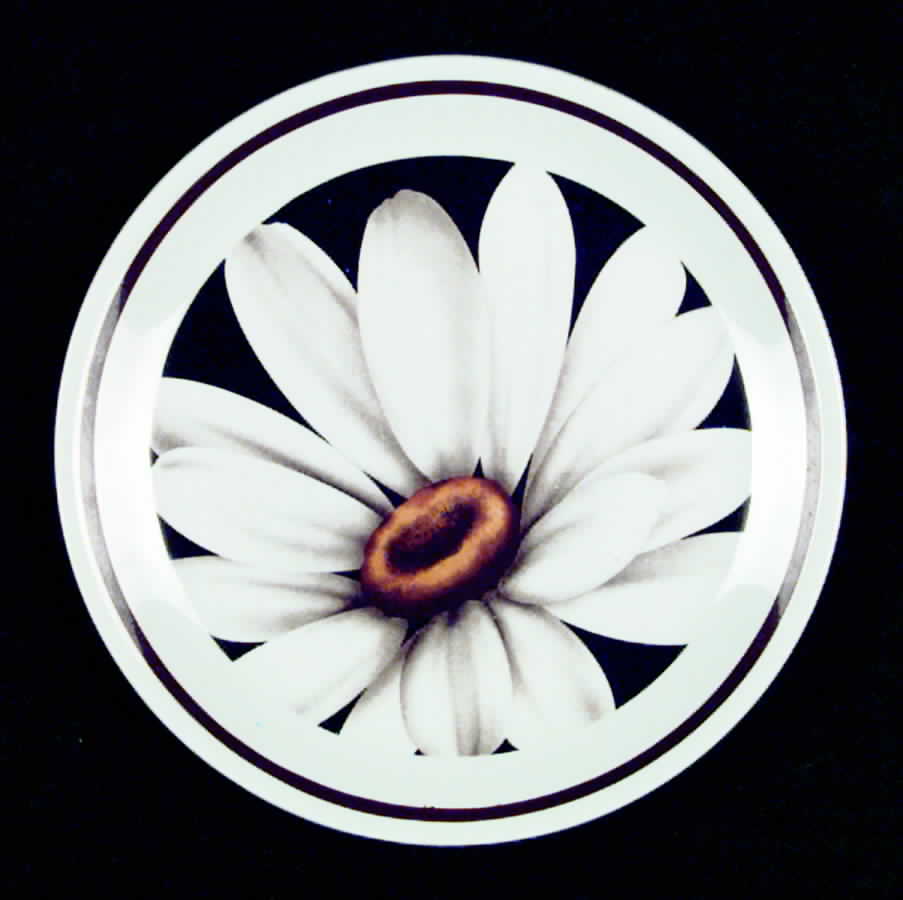 MEA58 Bread & Butter Plate by Alfred Meakin-1