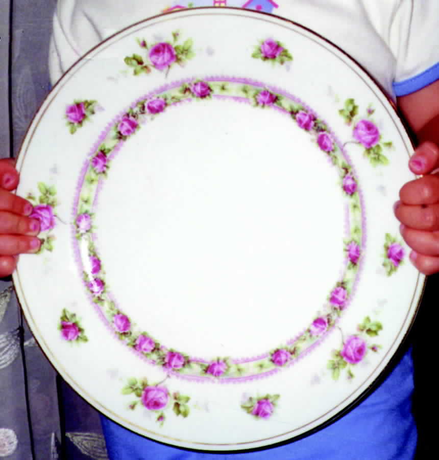 MAI1 Dinner Plate by J S Maier-1