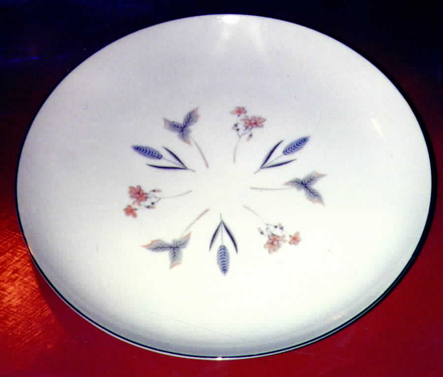 MTK7 Dinner Plate by Mitake-1