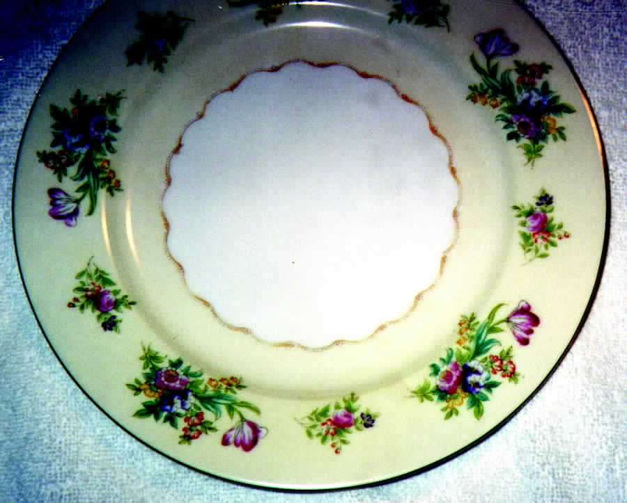 MEI540 Dinner Plate by Meito-1