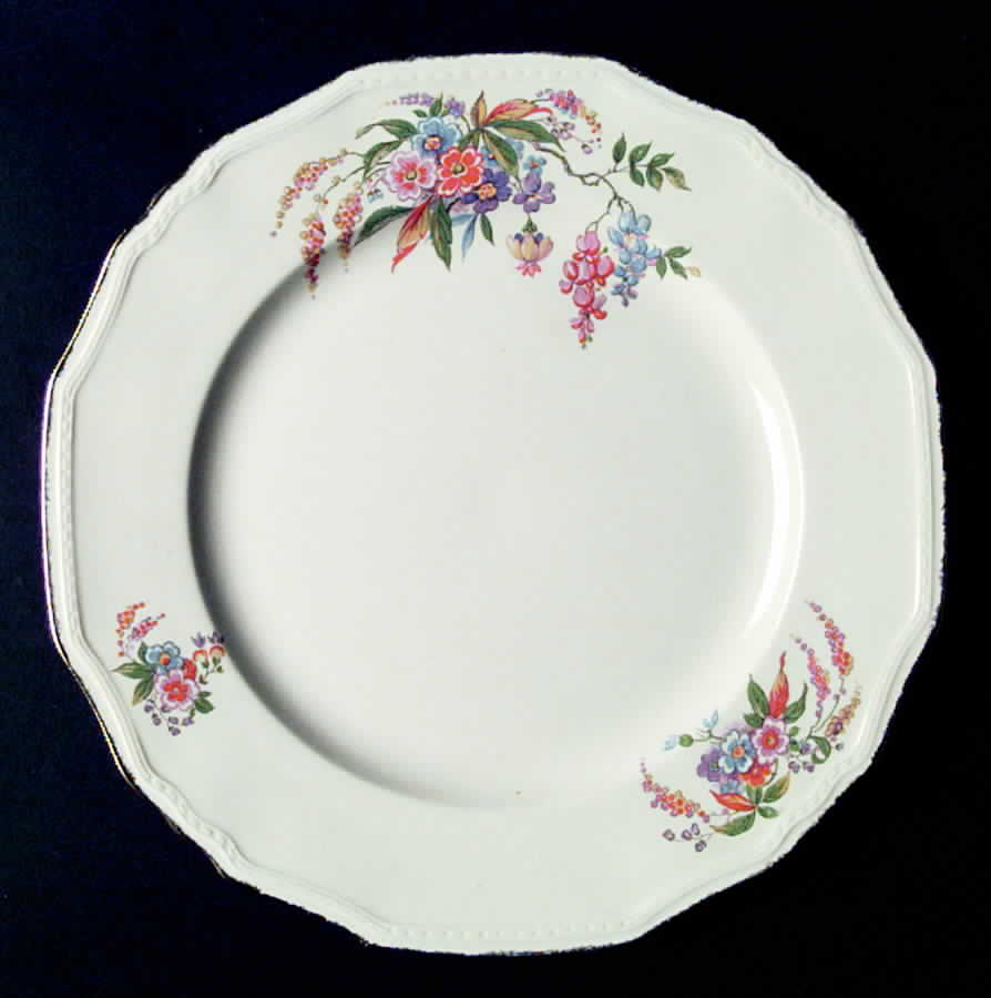 Cascadia Dinner Plate by Alfred Meakin-1