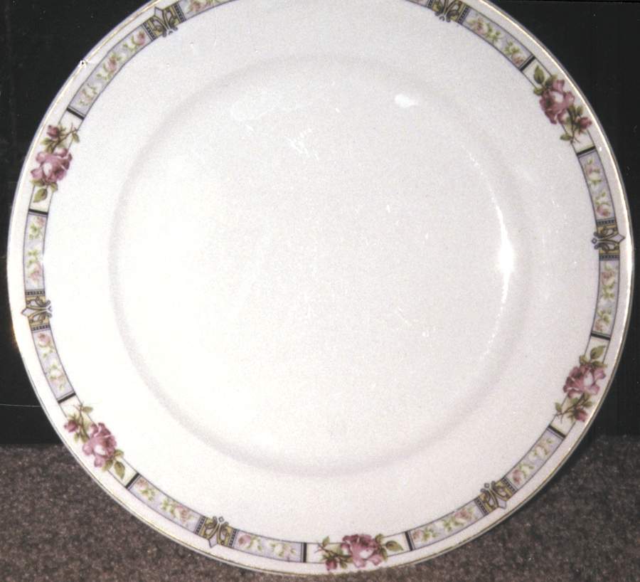 MEA61 Dinner Plate by Alfred Meakin-1
