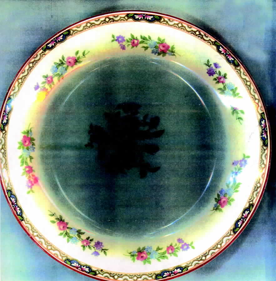 Chatsworth Dinner Plate by J & G Meakin-1
