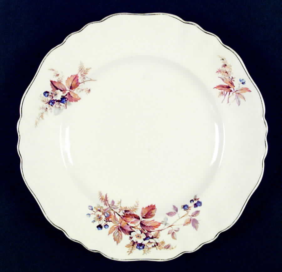 MEK55 Dinner Plate by J & G Meakin-1