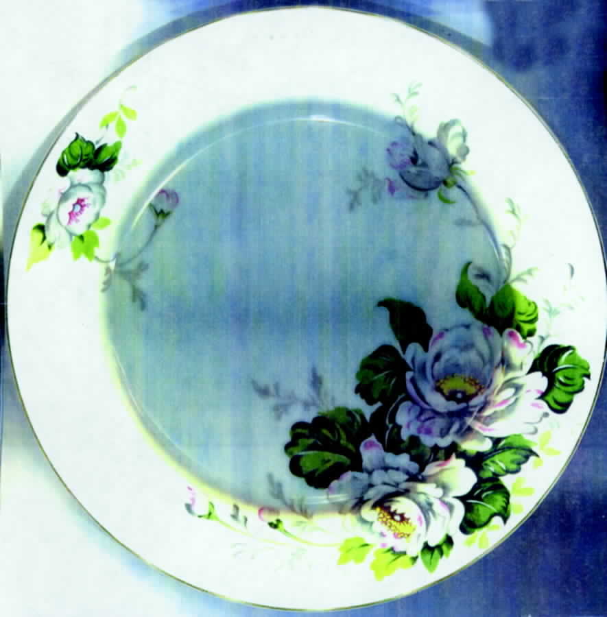 MRU4 Dinner Plate by Maruichi-1
