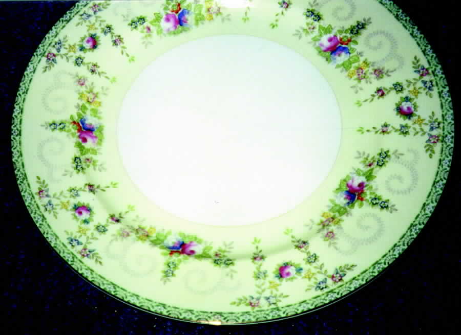 MEI548 Dinner Plate by Meito-1