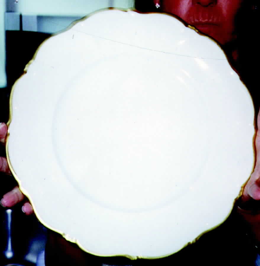 Presidential Dinner Plate by Meissmen-1