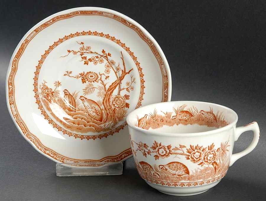 Quail Brown Flat Cup & Saucer Set by Mason's-1