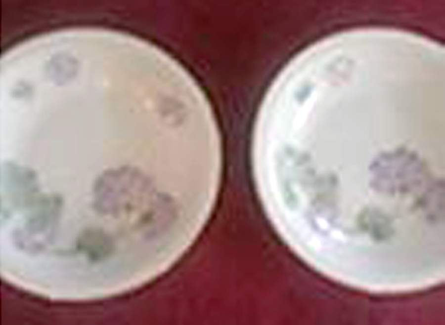 MUE70 Rim Fruit/Dessert (Sauce) Bowl by Paul Muller-1