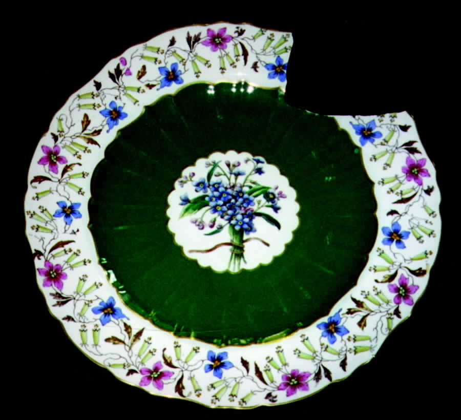 Fuchsia Dinner Plate by Minton-1