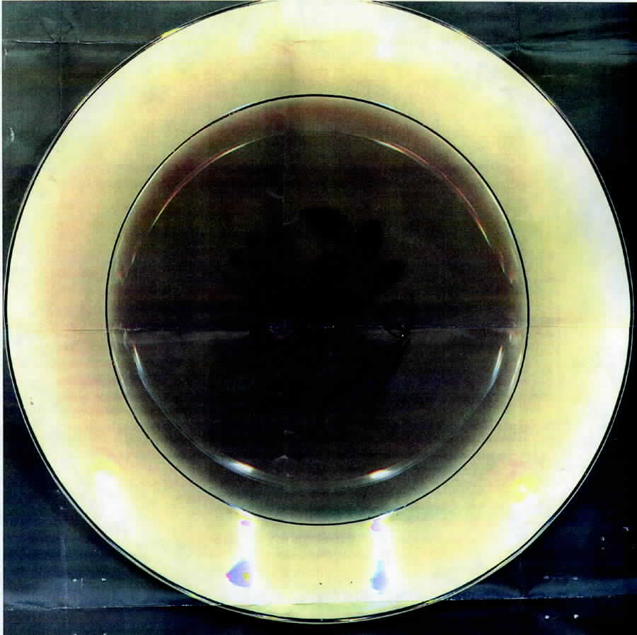 California Dinner Plate by Alfred Meakin-1