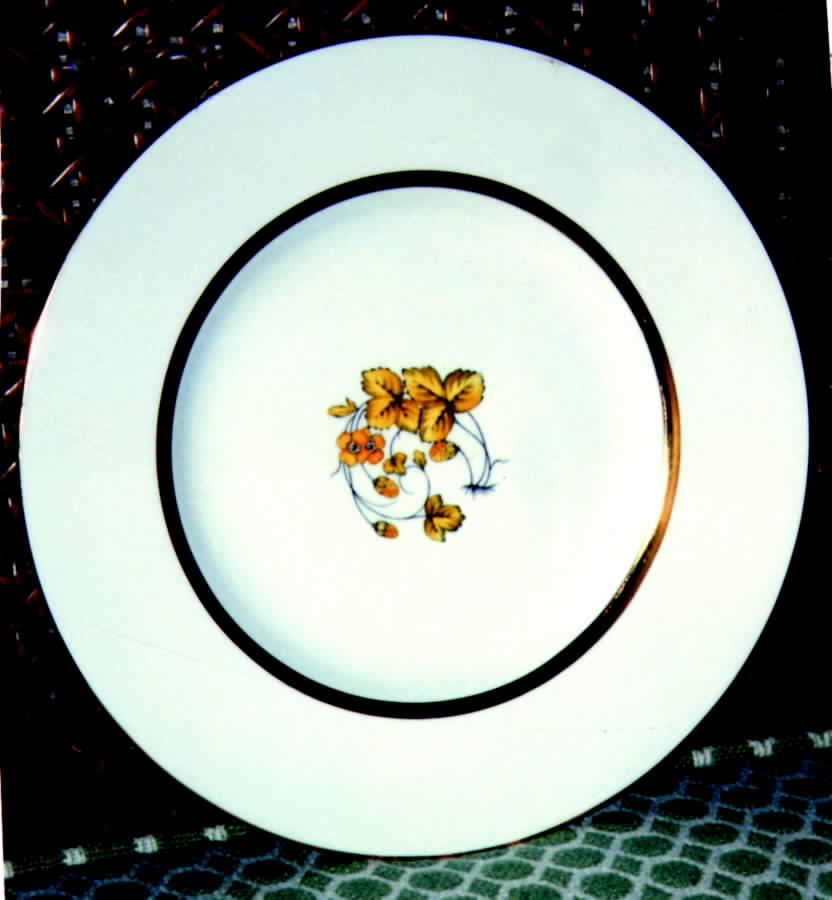 M45 Dinner Plate by Minton-1