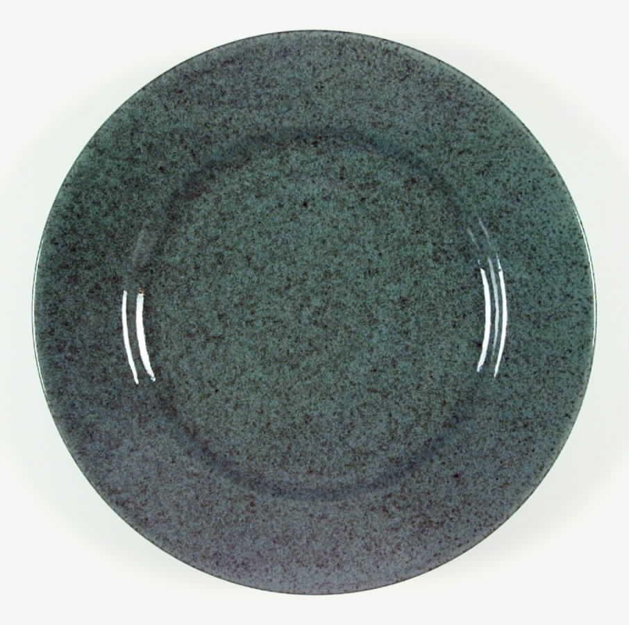 Potter's Craft Hunter Green Dinner Plate by Mikasa-1