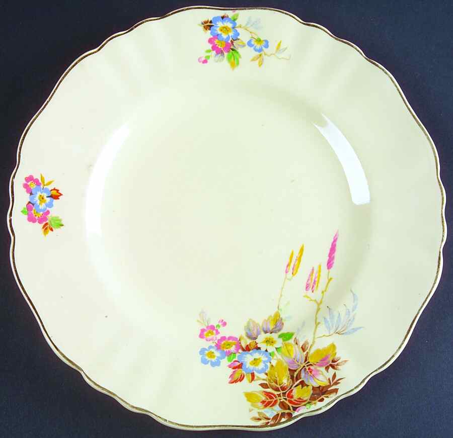 MEK61 Dinner Plate by J & G Meakin-1