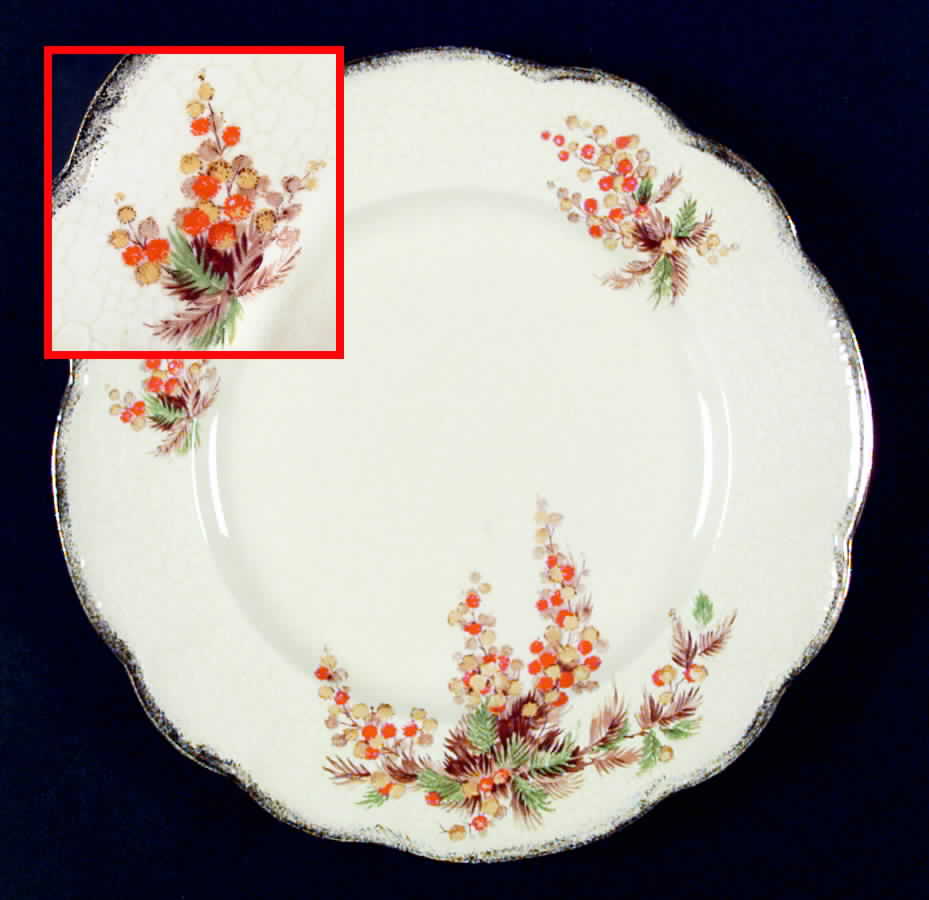 Acacia Bloom Dinner Plate by J & G Meakin-1