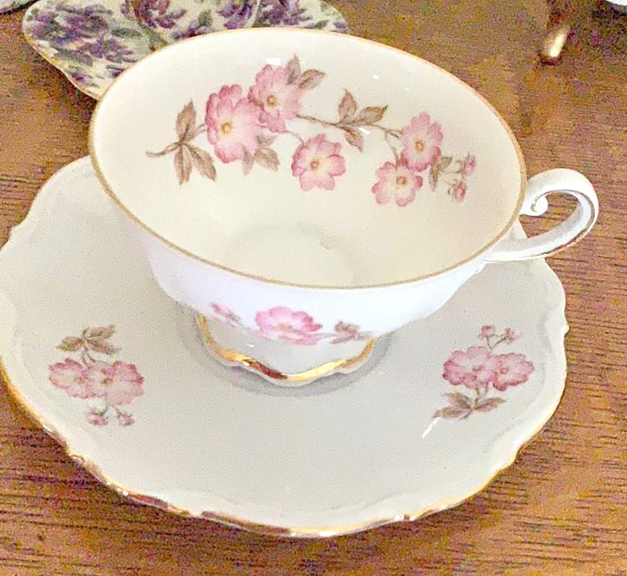 MIT75 Footed Cup & Saucer Set by Mitterteich-1