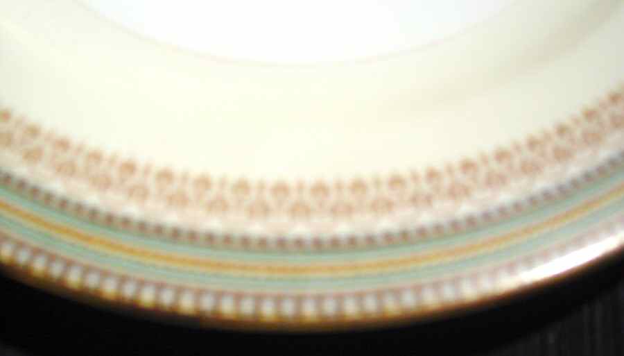 MEI578 Dinner Plate by Meito-1