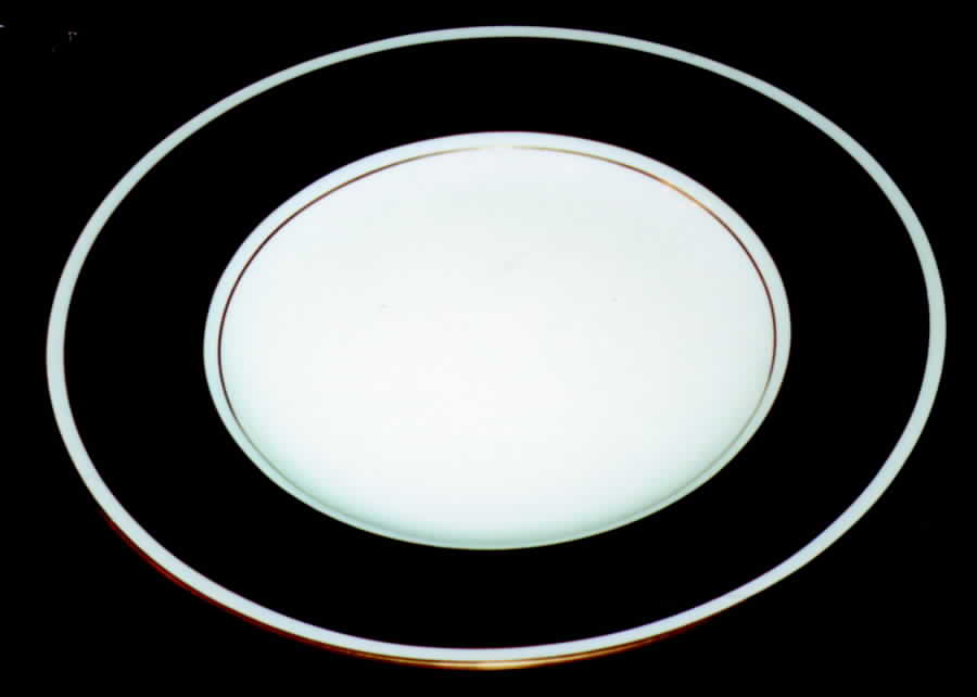 M48 Dinner Plate by Minton-1