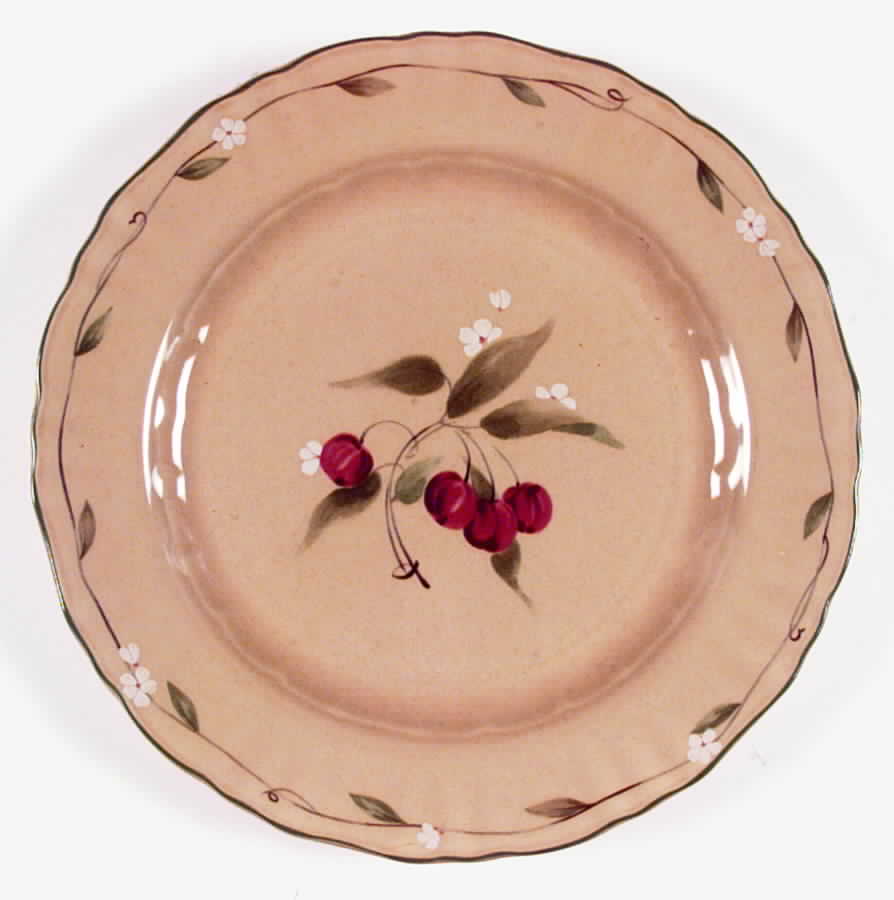 Garden Glow Dinner Plate by Mikasa-1