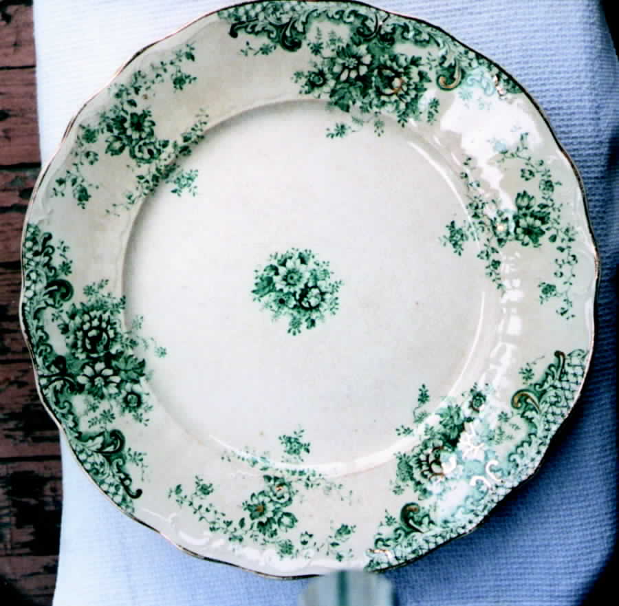 Columbia Dinner Plate by Mayer (American)-1