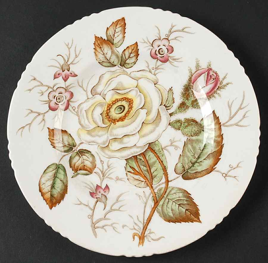 Old Rose Salad Plate by John Maddock & Sons-1