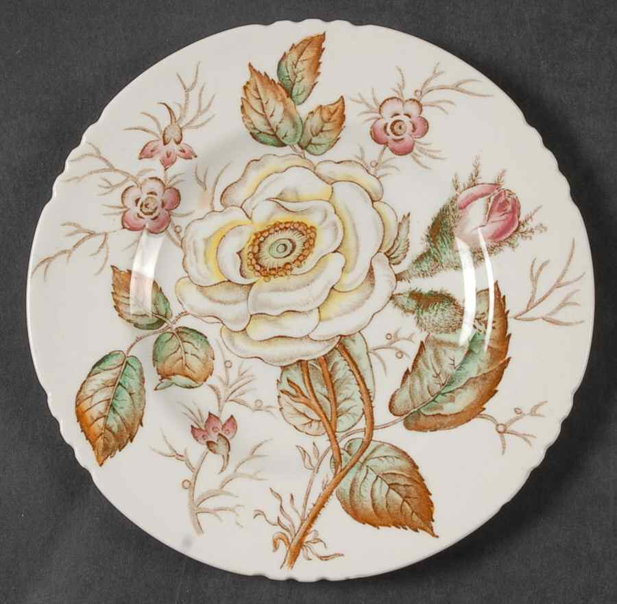 Old Rose Bread & Butter Plate by John Maddock & Sons-1