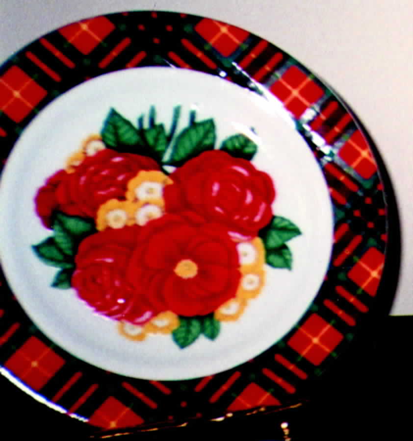 MWF1 Dinner Plate by Midwest of Cannon Falls-1