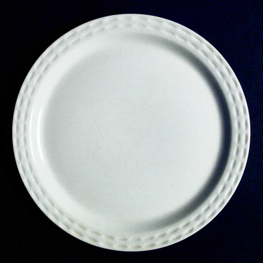 MYO45 Dinner Plate by Myott Staffordshire-1