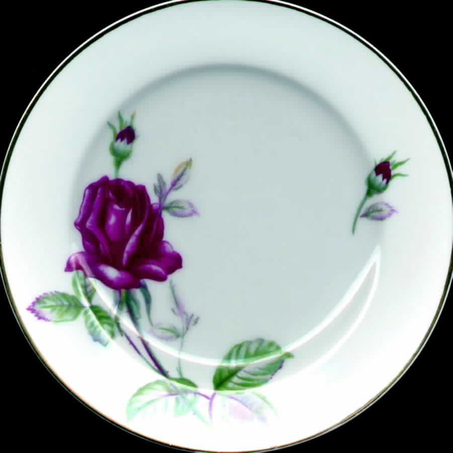 MEJ1 Dinner Plate by Meijyo (Japan)-1
