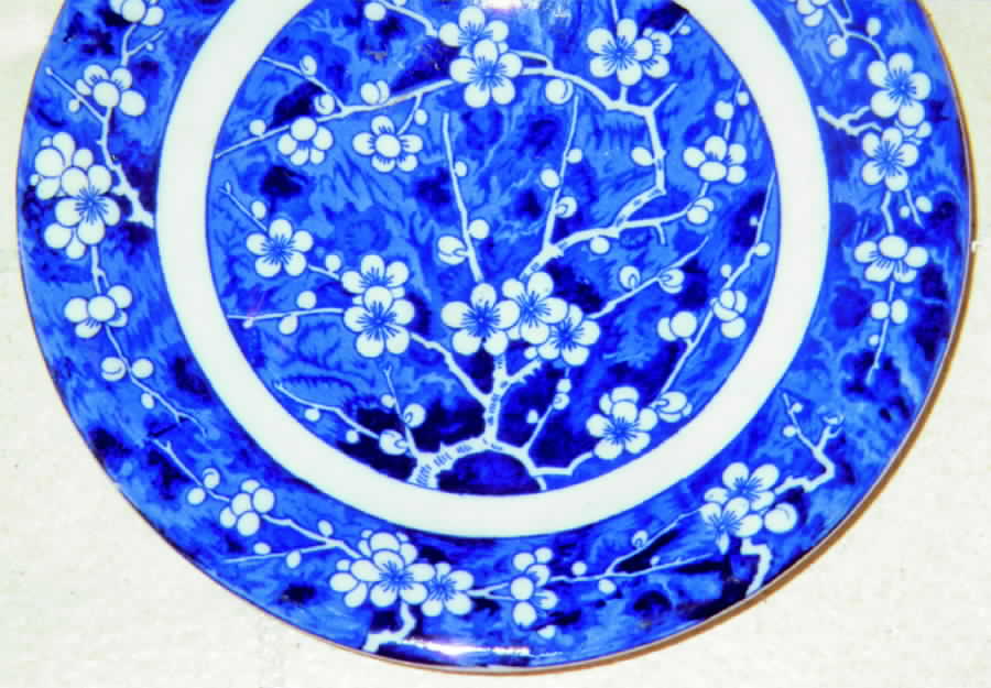 Hawthorn Dinner Plate by Minton-1