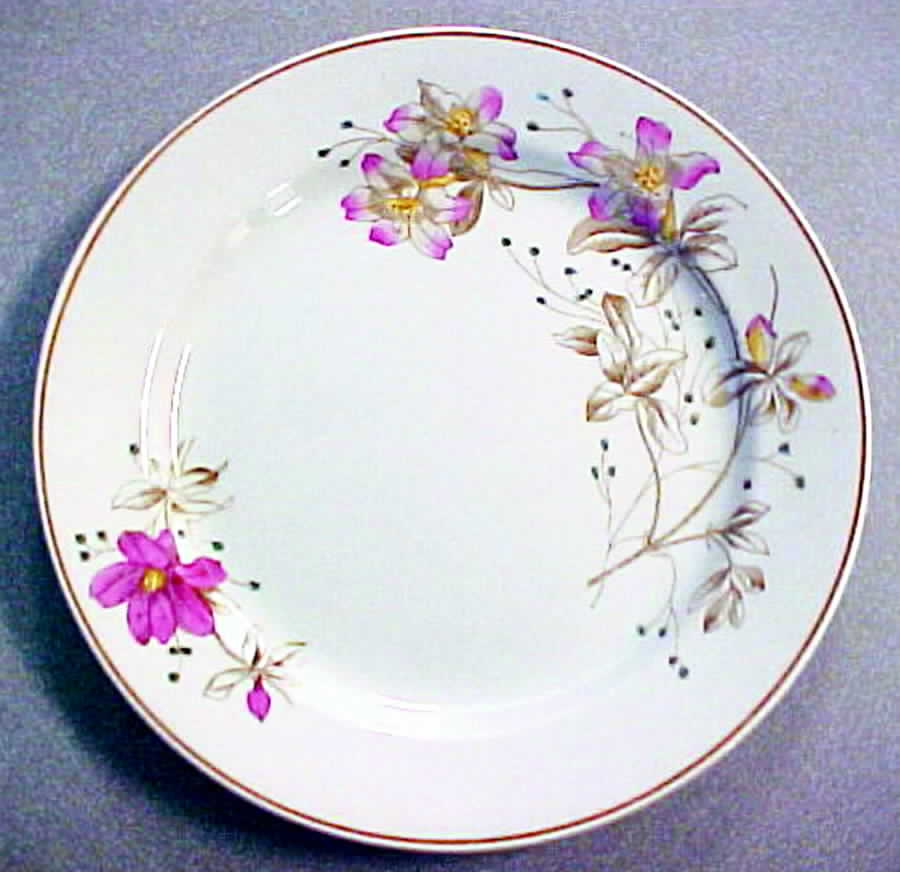 MEA72 Dinner Plate by Alfred Meakin-1