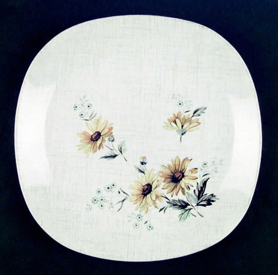 Summertime Dinner Plate by J & G Meakin-1