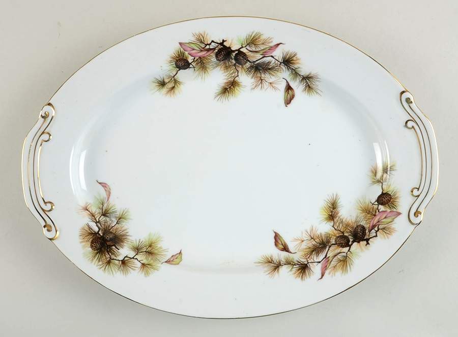 MEJ2 14" Oval Serving Platter by Meijyo (Japan)-1