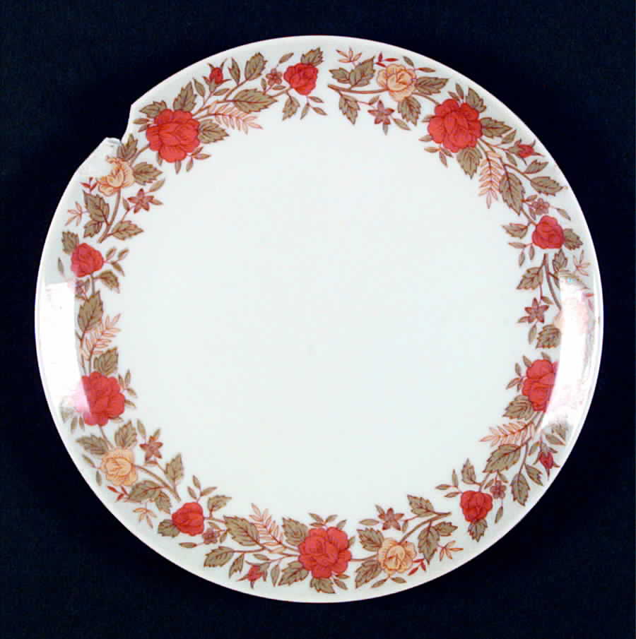 Regina Salad Plate by Meito-1